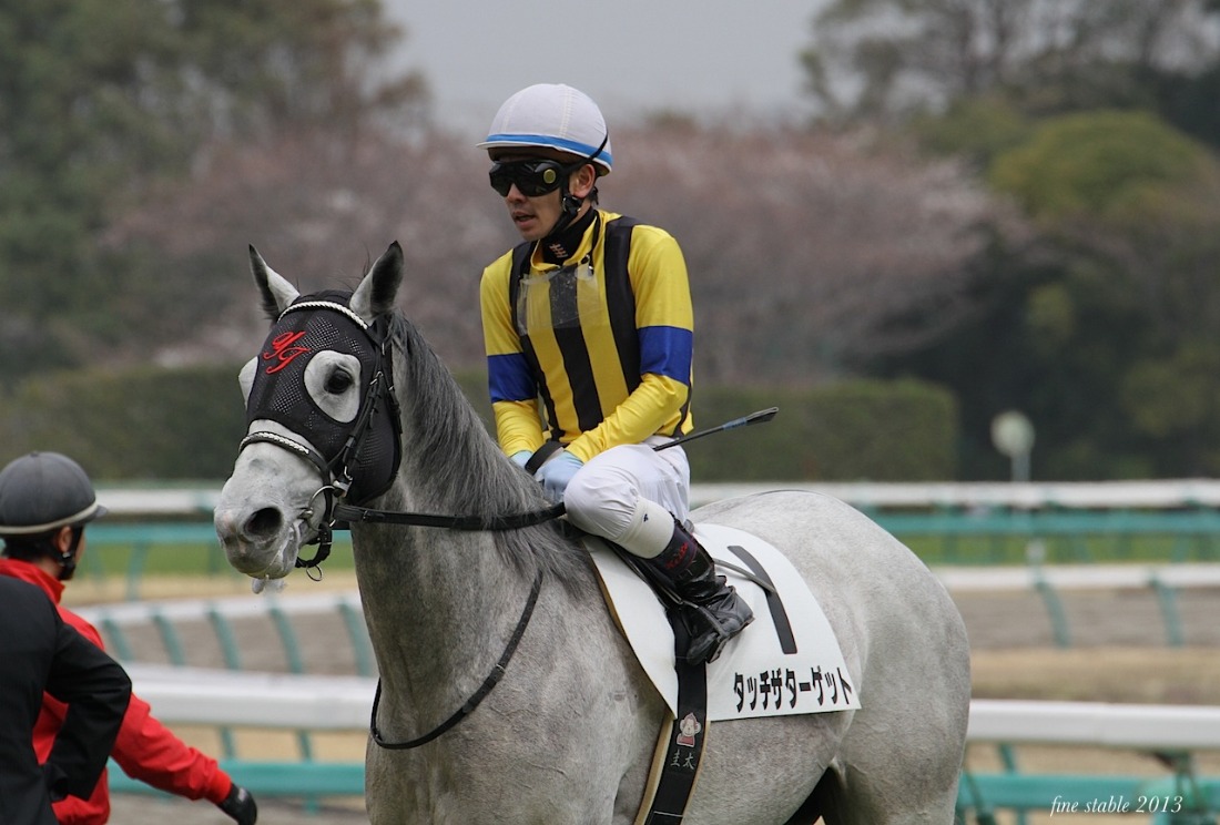 3.26  土曜日の競馬から_c0240132_5562922.jpg