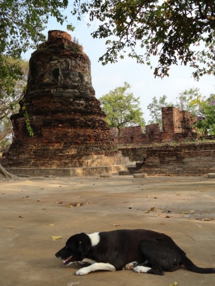 タイ旅行　２日目　アユタヤ遺跡_f0238932_1826054.jpg