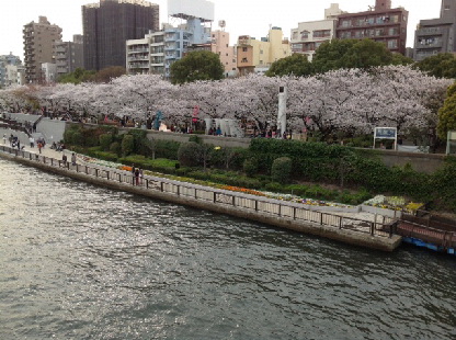 営業前サーフから来週へ向けて?_d0011635_18304411.jpg