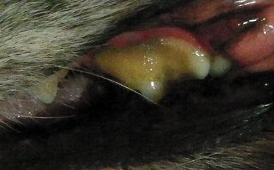 b0086939_1932114.jpg