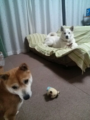 d0204043_013452.jpg
