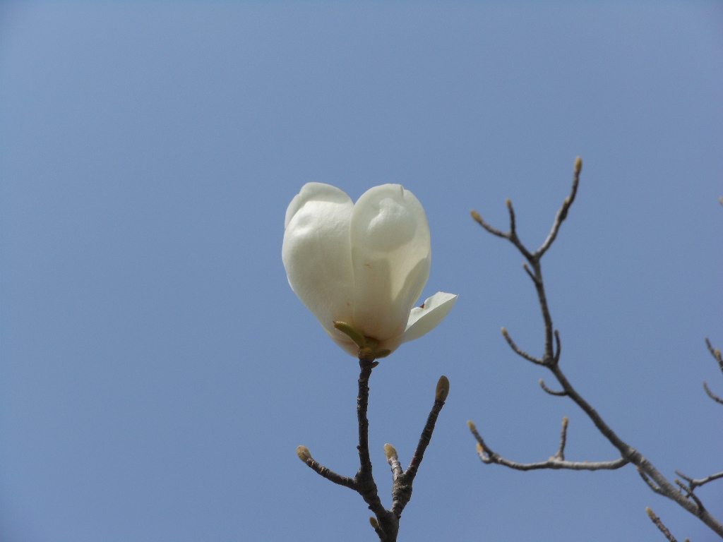 c0122744_0202364.jpg