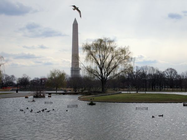 c0181652_58154.jpg