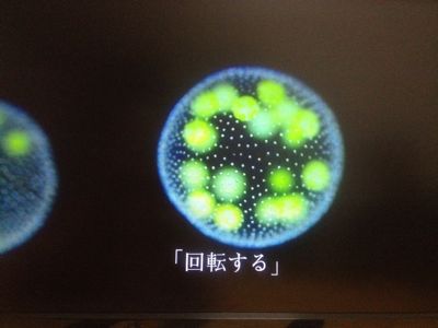 宝石そのもの ボルボックス 千日紅 花 気ままにアート 好きなこと