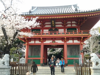 目黒不動尊の桜_a0061057_23501892.jpg