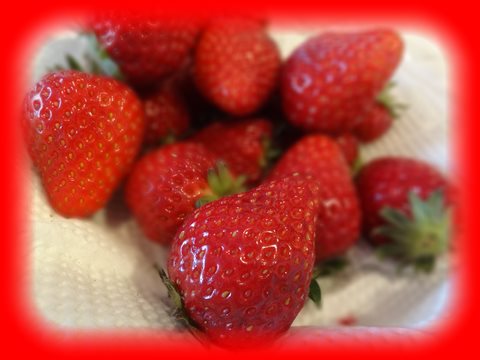 c0032257_827117.jpg
