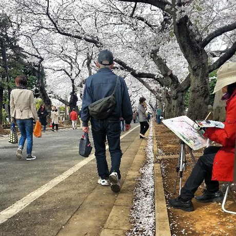 谷中霊園の桜 と 谷中の寺猫_f0117059_18445489.jpg
