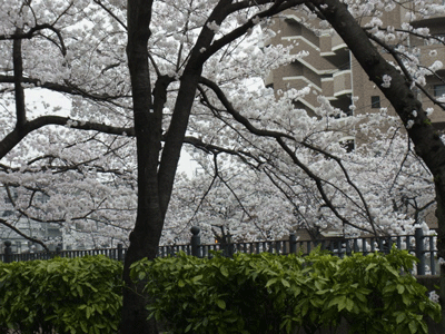 d0152761_12234677.gif