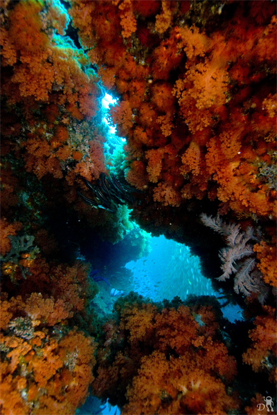 e0158261_8204671.jpg