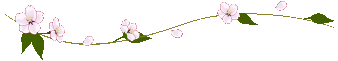 a0195062_20305368.gif