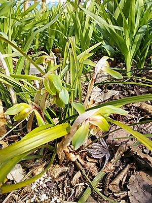 f0222164_12322233.jpg