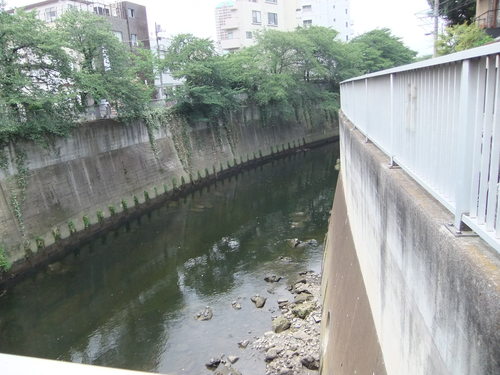 d0080566_19185324.jpg