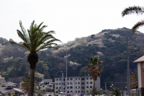 e0045768_22124137.jpg