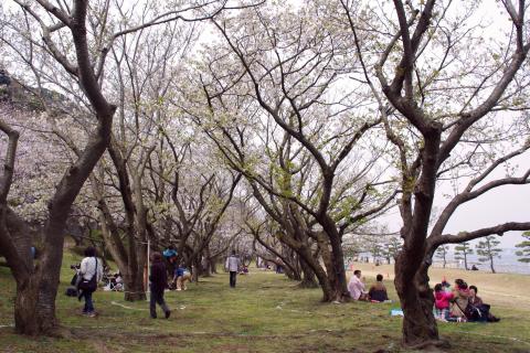 e0045768_22183481.jpg