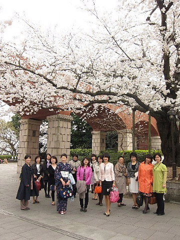 世の中は３日見ぬ間の桜かな。_b0141773_2218747.jpg