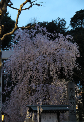 e0198877_1862968.png