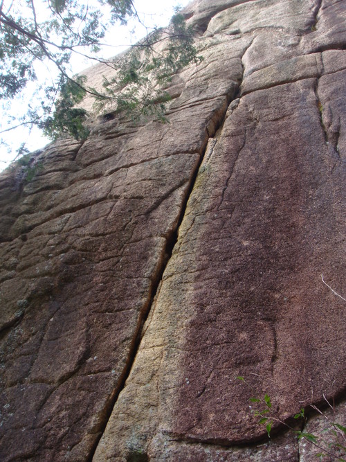f0223480_17664.jpg