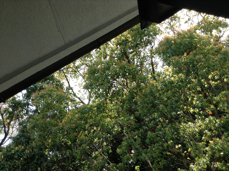 e0191384_23254130.jpg