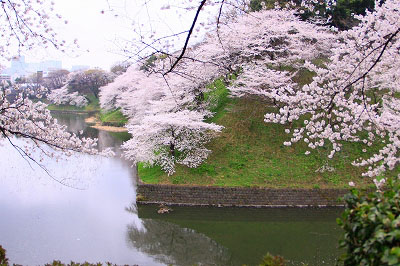 e0305388_10474938.jpg