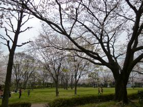 e0238095_74885.jpg