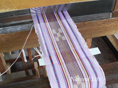 b0162000_11301151.gif