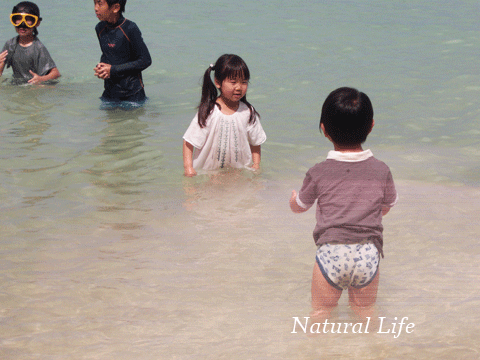 b0162000_11333216.gif