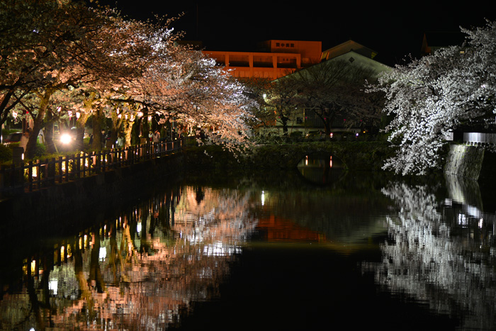 小田原城にて夜桜・・・♡_e0153701_23114335.jpg