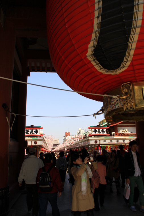 d0248502_94057.jpg