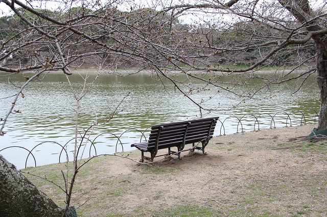 a0123003_1954898.jpg