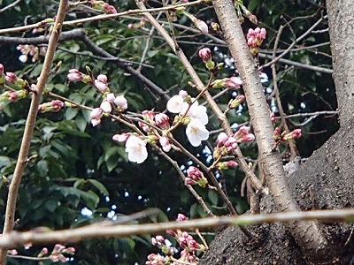 d0089705_17273968.jpg