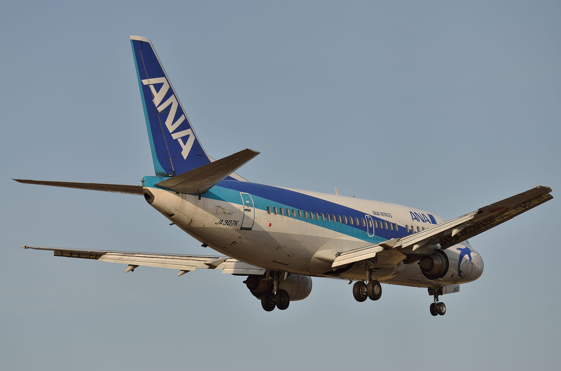 1/200 jc wings ANA ボーイング737-500 JA307K