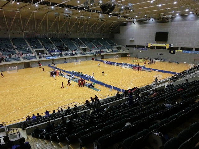 ハンドボールも格闘技 第36回全国高校ハンドボール選抜大会_f0141310_818175.jpg