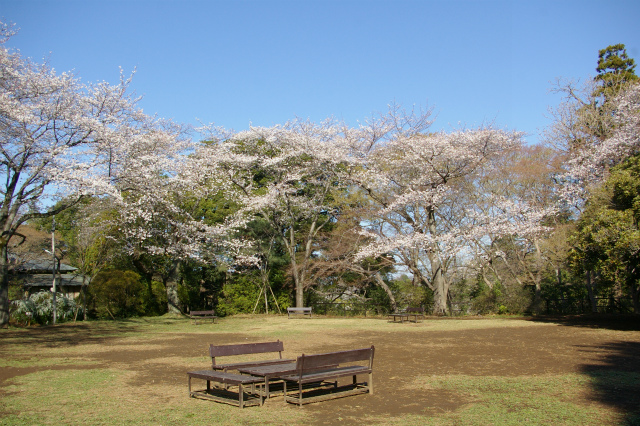 清水公園から_e0175614_12252185.jpg