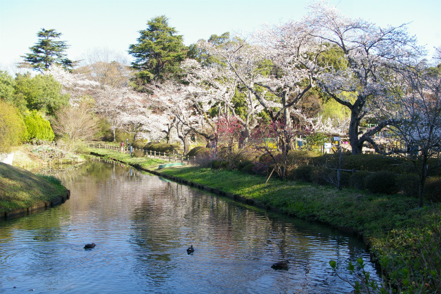 清水公園から_e0175614_12253557.jpg