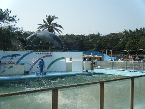 e0093518_149010.jpg