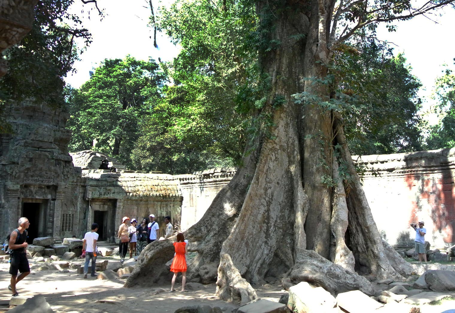 f0199618_1140556.jpg