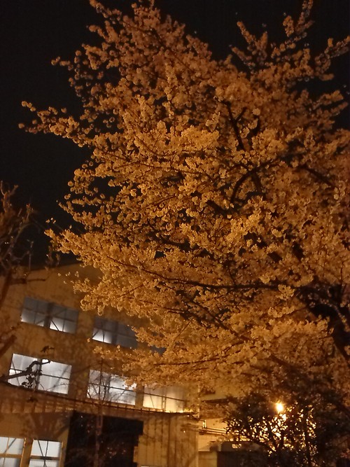 e0218019_22373553.jpg