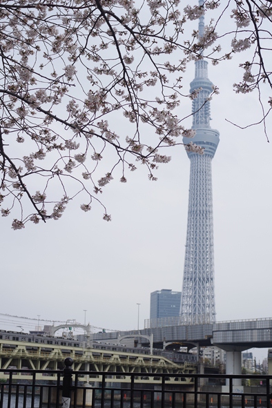c0107924_14313017.jpg