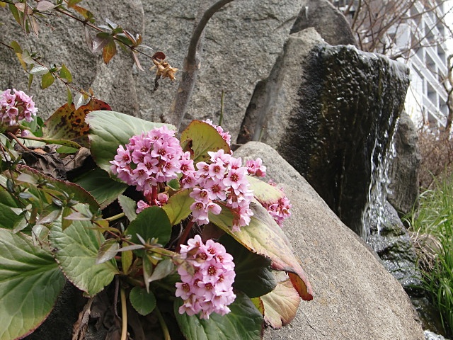 e0234924_1549947.jpg