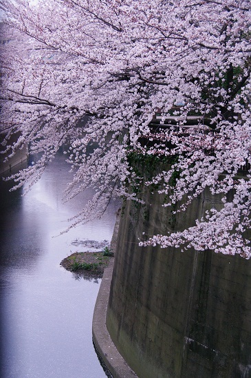 c0093830_18555414.jpg
