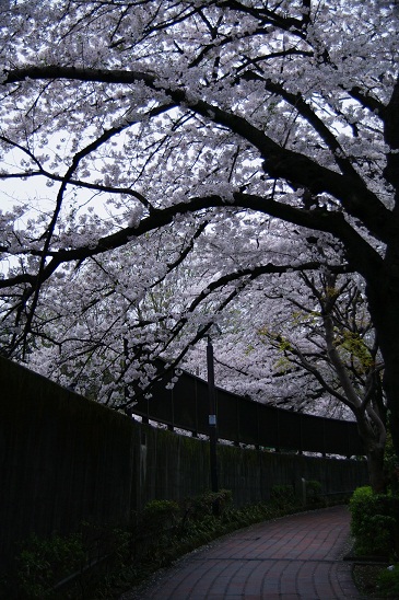 c0093830_1903215.jpg