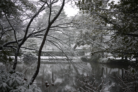 c0222635_15224549.jpg