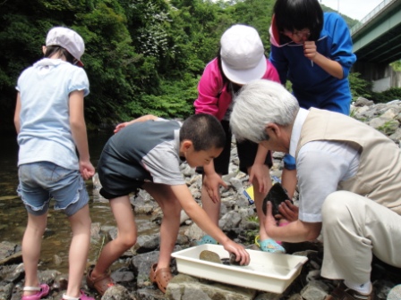 平成24年度「森と水のシンフォニー環境基金」活動実績_b0206037_104241.jpg