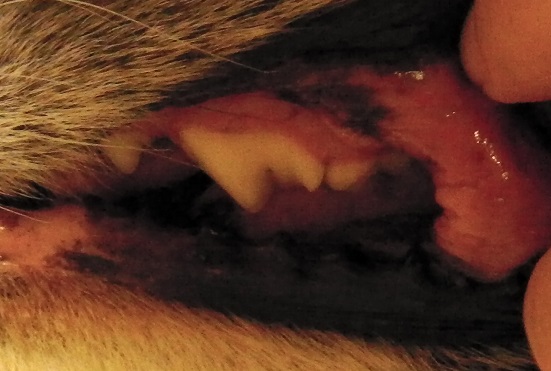 b0086939_1531327.jpg