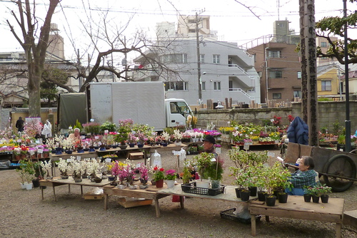 d0170140_22349.jpg