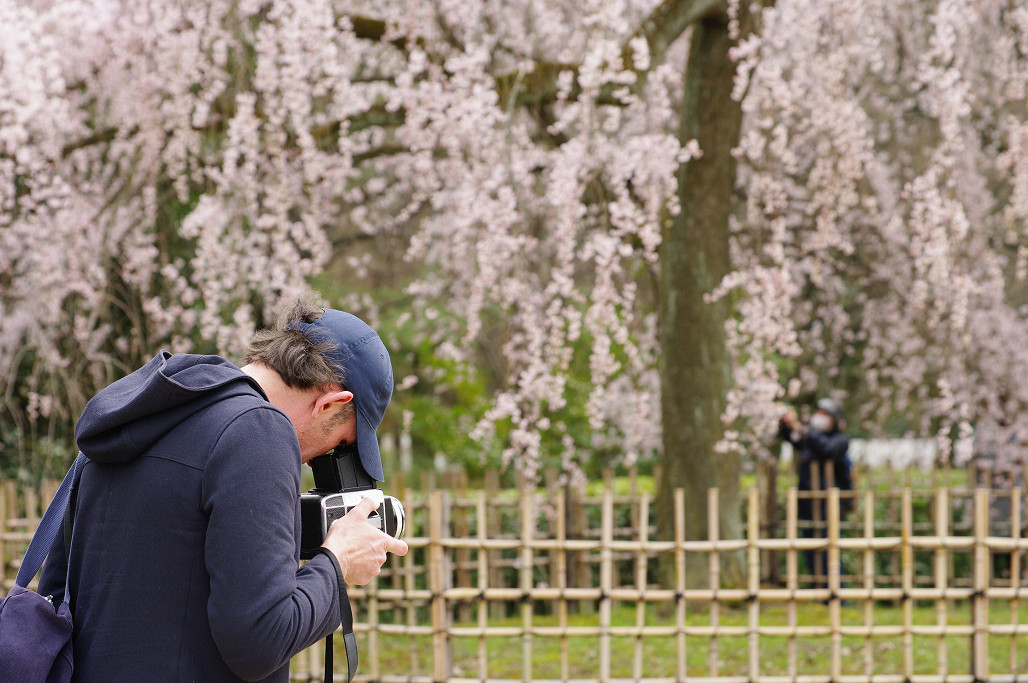 桜 ~法金剛院~立本寺~京都御苑~_f0152550_23143051.jpg