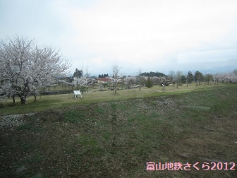 富山地鉄のさくらマップ2013@中加積駅周辺_a0243562_11544121.jpg