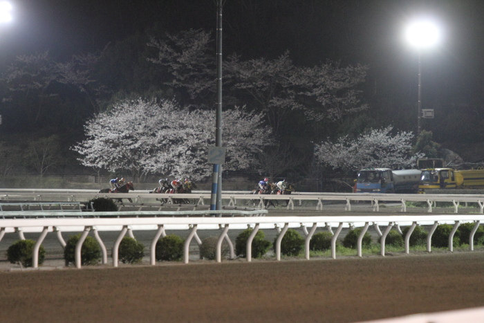 2013年3月25日（月） 高知競馬 10R 香川県オリーブ特別 C2-1選抜馬 その1_a0077663_814048.jpg
