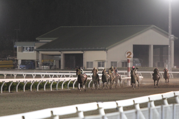 2013年3月25日（月） 高知競馬 10R 香川県オリーブ特別 C2-1選抜馬 その1_a0077663_8141123.jpg
