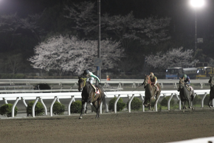 2013年3月25日（月） 高知競馬 10R 香川県オリーブ特別 C2-1選抜馬 その1_a0077663_8141148.jpg